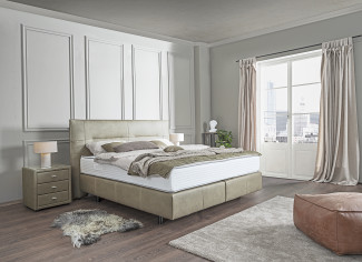 Programm vito NONIA in olive